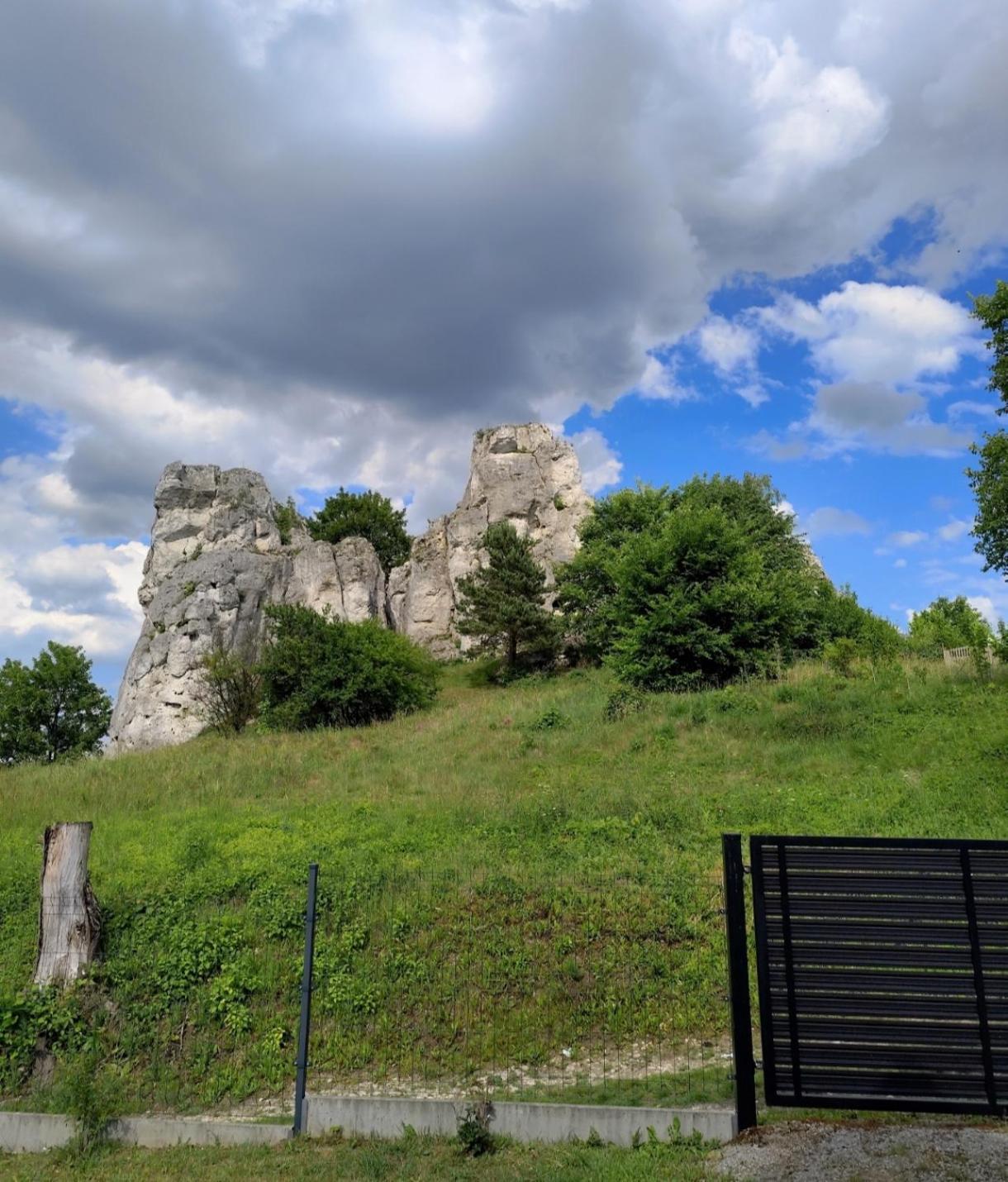 Bajkowa Dolina Villa Niegowa Dış mekan fotoğraf